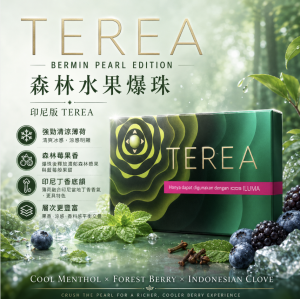 TEREA煙彈 IQOS ILUMA 專用  亞T森林水果爆珠加熱菸彈