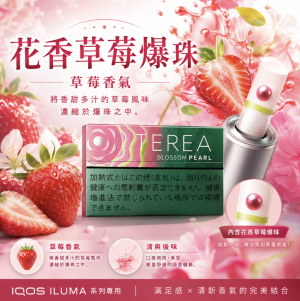【新口味草莓爆珠】日版 TEREA煙彈 IQOS ILUMA加熱煙主機專用整條煙